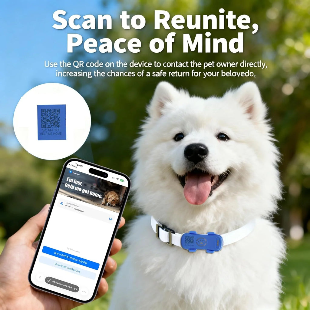 4G GPS Tracker for Dogs Cats, Real-time Pet Locator with Light Sound Alarm, US Seller, IP67 Waterproof, Safe Zone, with App Subscription, US Stock - Curl and Collar