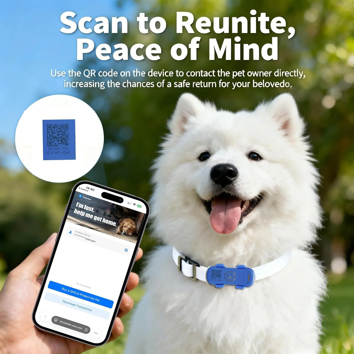 4G GPS Tracker for Dogs Cats, Real-time Pet Locator with Light Sound Alarm, US Seller, IP67 Waterproof, Safe Zone, with App Subscription, US Stock - Curl and Collar