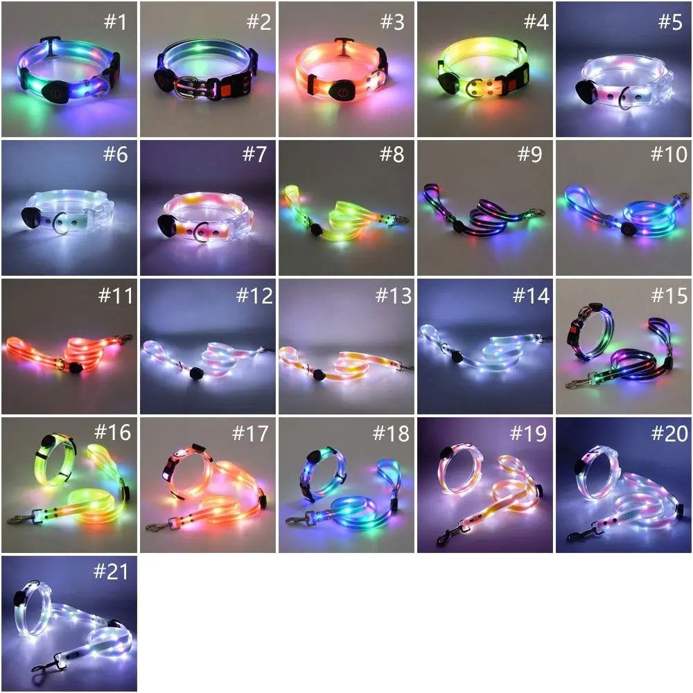 Glowing Dog Collar Leash Waterproof Adjustable Dog Neck Collar Rechargeable Weather Proof Dog Led Light Collar For Night Walking - Curl and Collar