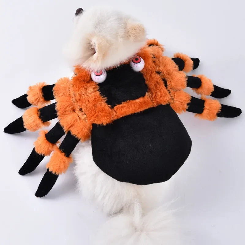 Halloween Funny Dog Clothes for Small Medium Dogs Cats Party Dressed Up Cosplay Costumes Bulldog French Chihuahua Pet Outfits - Curl and Collar