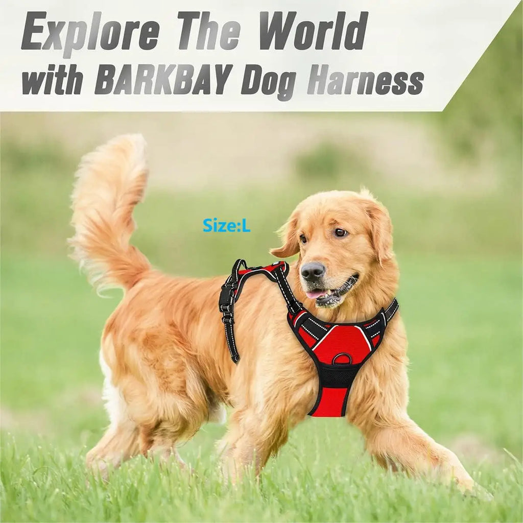 Adjustable No Pull Dog Harness Front Clip Reflective Comfortable Handle for Medium to Large Dogs Walking - Curl and Collar