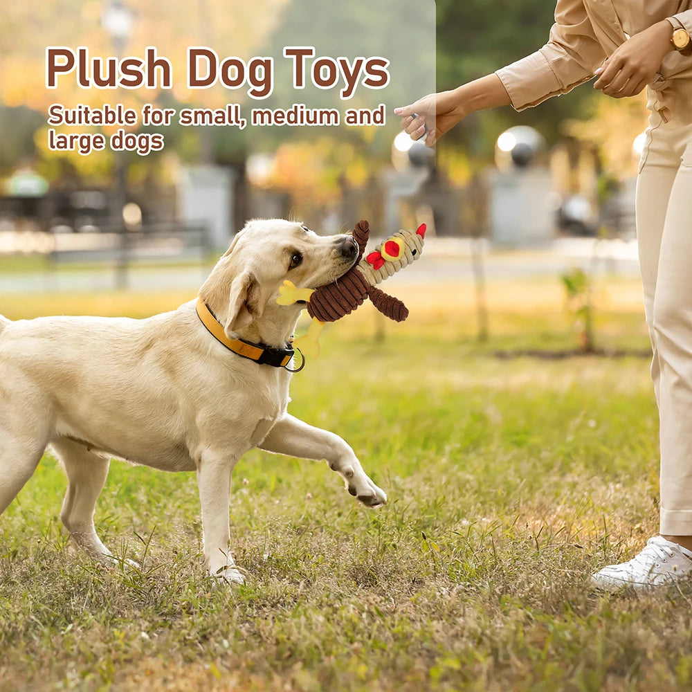 5 Pack Dog Toys Plush Dog Squeaky Toys, Assortment Value Bundle Animal Pet Toy for Small Medium Large Dogs, Stuffed Puppy Chew - Curl and Collar