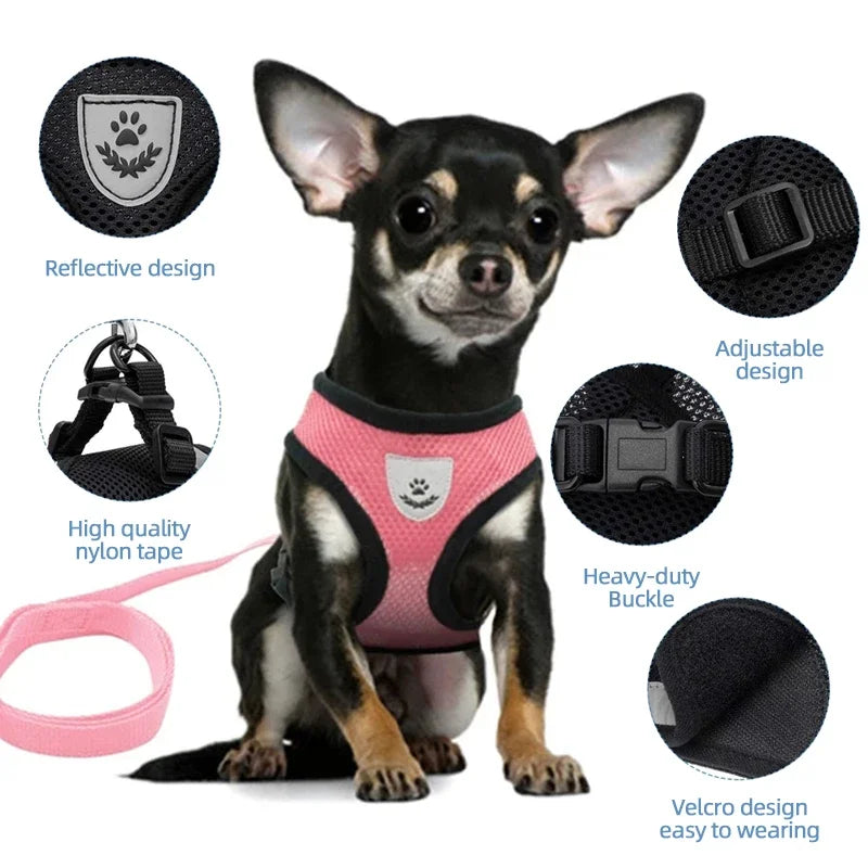 Summer Cat Dog Harness Lead Leash Adjustable Vest Polyester Mesh Breathable Harnesses Reflective for Small Dog Cat Lesah - Curl and Collar