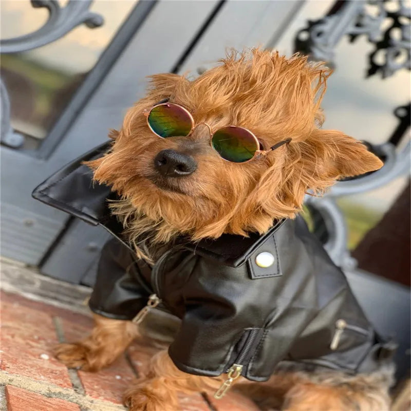 Glorious Eagle Pattern Dog Coat PU Leather Jacket Soft Waterproof Outdoor Puppy Outerwear Fashion Clothes For Small Pet - Curl and Collar