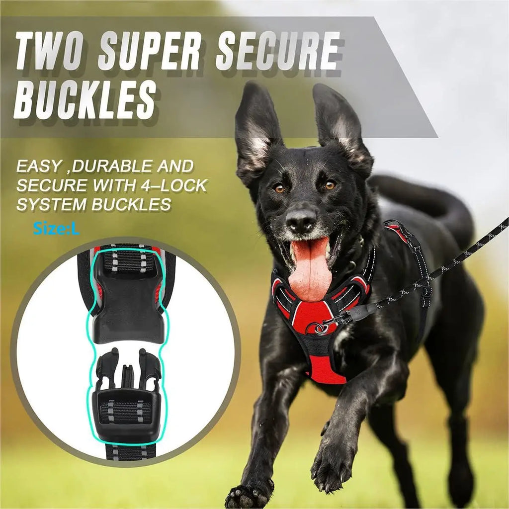 Adjustable No Pull Dog Harness Front Clip Reflective Comfortable Handle for Medium to Large Dogs Walking - Curl and Collar