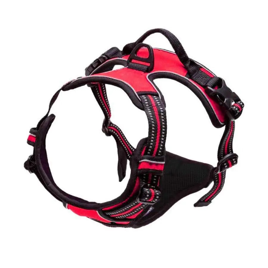 Adjustable No Pull Dog Harness Front Clip Reflective Comfortable Handle for Medium to Large Dogs Walking - Curl and Collar