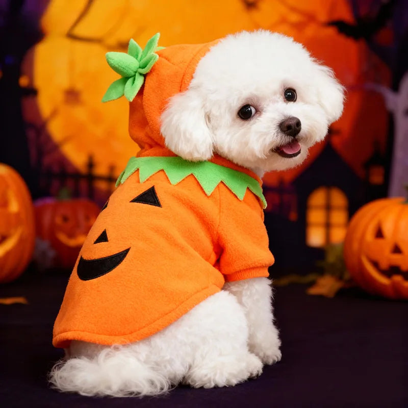 Hot Sale Halloween Pumpkin Pet Costume Autumn Winter Transformed Outfit Casual Daily Clothes For Dogs - Curl and Collar