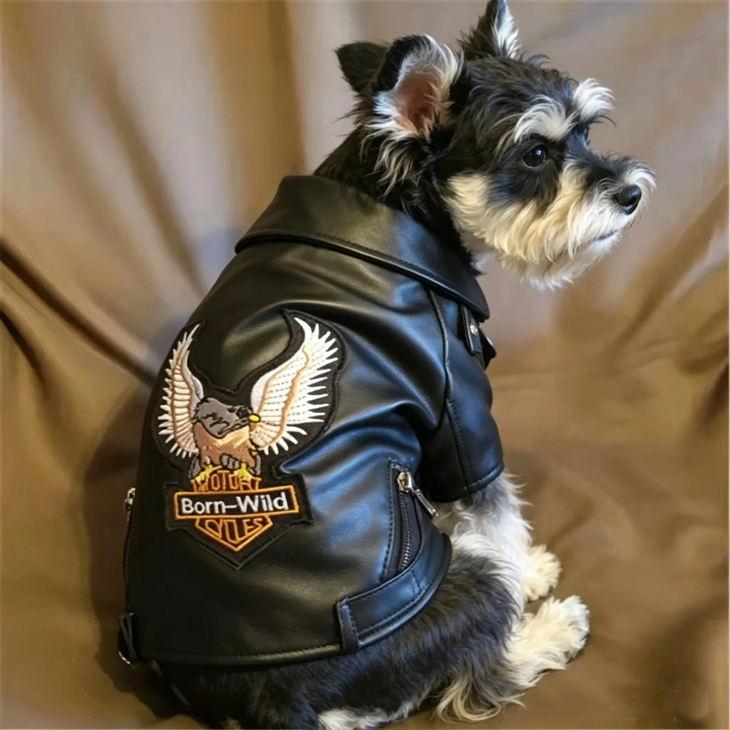 Glorious Eagle Pattern Dog Coat PU Leather Jacket Soft Waterproof Outdoor Puppy Outerwear Fashion Clothes For Small Pet - Curl and Collar