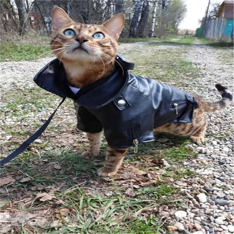 Glorious Eagle Pattern Dog Coat PU Leather Jacket Soft Waterproof Outdoor Puppy Outerwear Fashion Clothes For Small Pet - Curl and Collar
