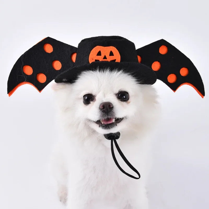 Halloween Funny Dog Clothes for Small Medium Dogs Cats Party Dressed Up Cosplay Costumes Bulldog French Chihuahua Pet Outfits - Curl and Collar