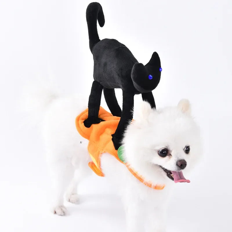 Halloween Funny Dog Clothes for Small Medium Dogs Cats Party Dressed Up Cosplay Costumes Bulldog French Chihuahua Pet Outfits - Curl and Collar