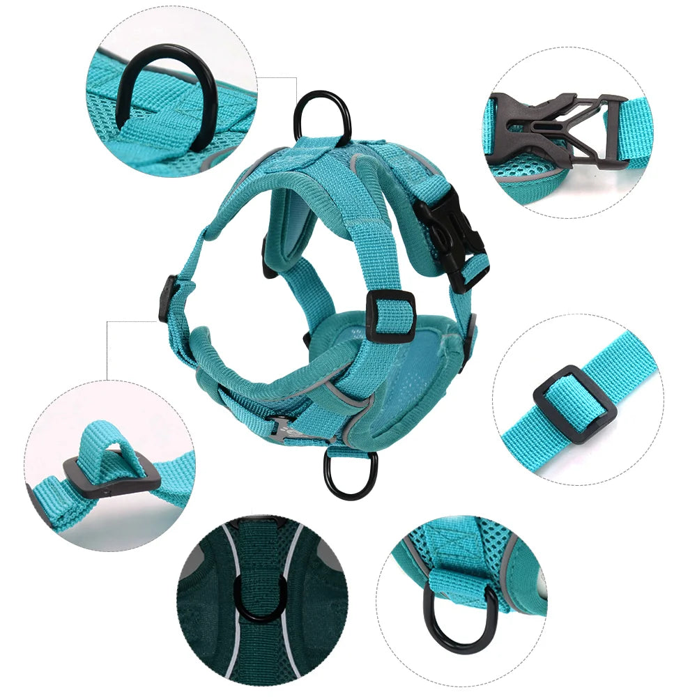 Adjustable Dog Harness Leash Set for Small Medium Dogs Cats Reflective Chest Strap Pets Harnesses Vest Outdoor Puppy Supplies - Curl and Collar