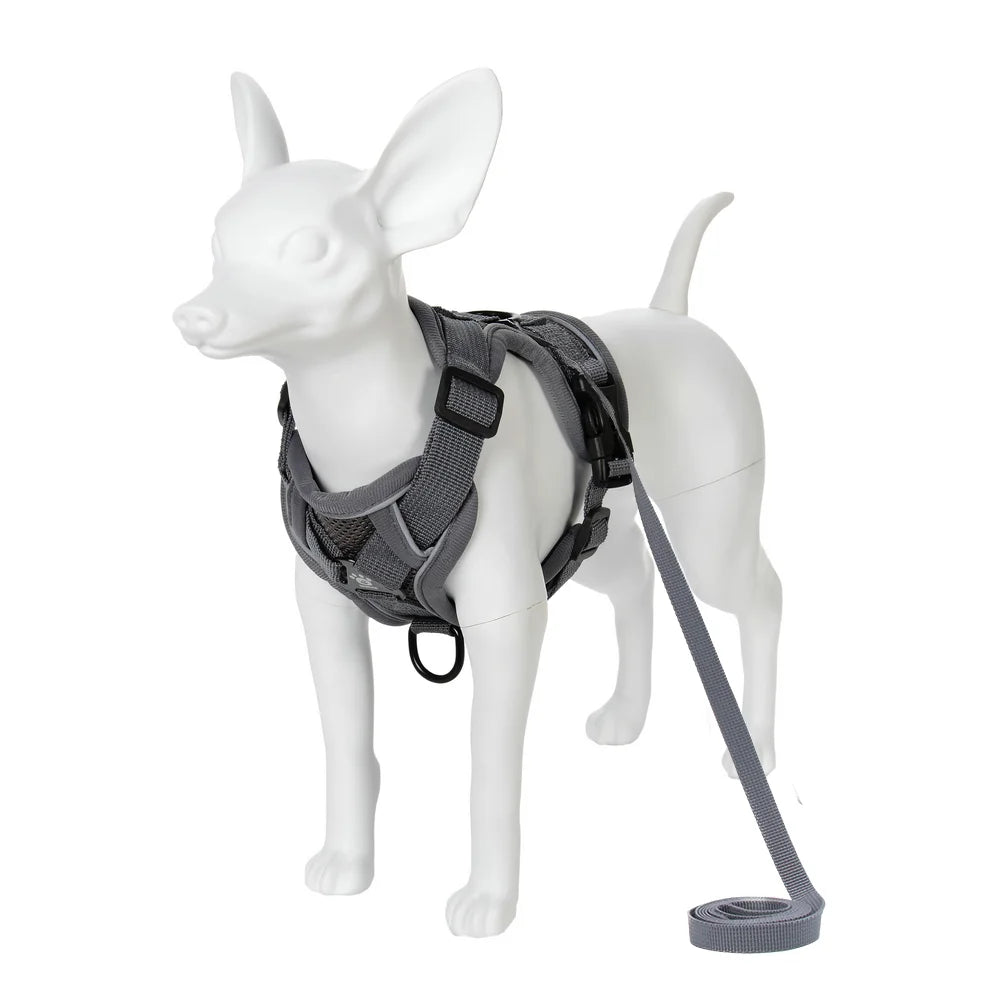 Adjustable Dog Harness Leash Set for Small Medium Dogs Cats Reflective Chest Strap Pets Harnesses Vest Outdoor Puppy Supplies - Curl and Collar