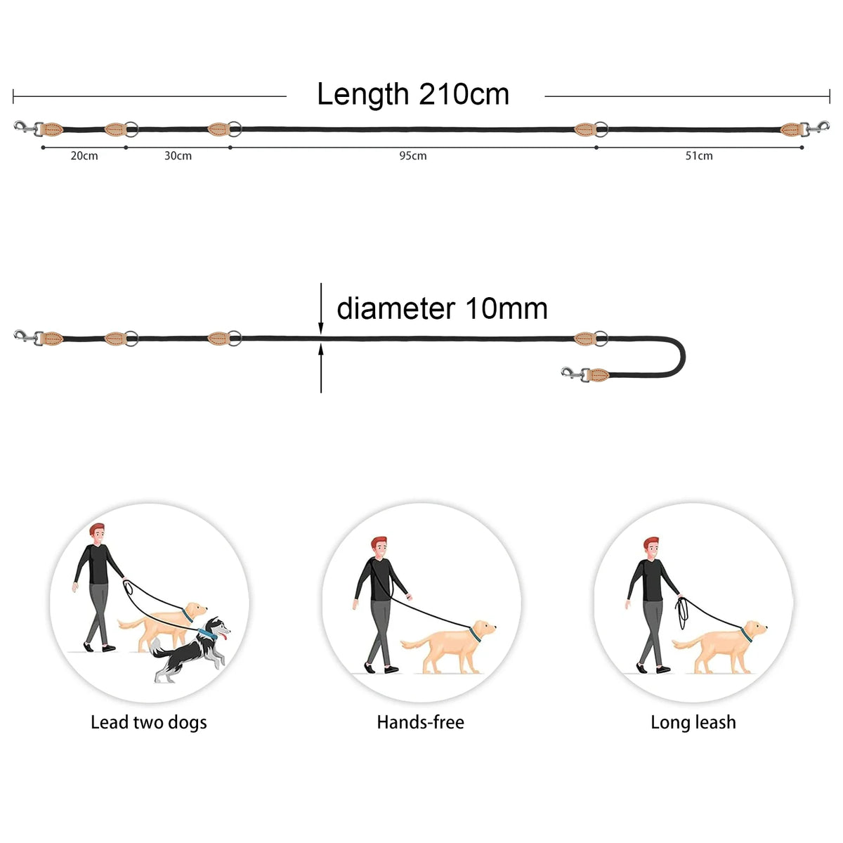 210cm Double Dog Leash – Adjustable Nylon Hands-Free Lead for Small & Medium Dogs - Curl and Collar