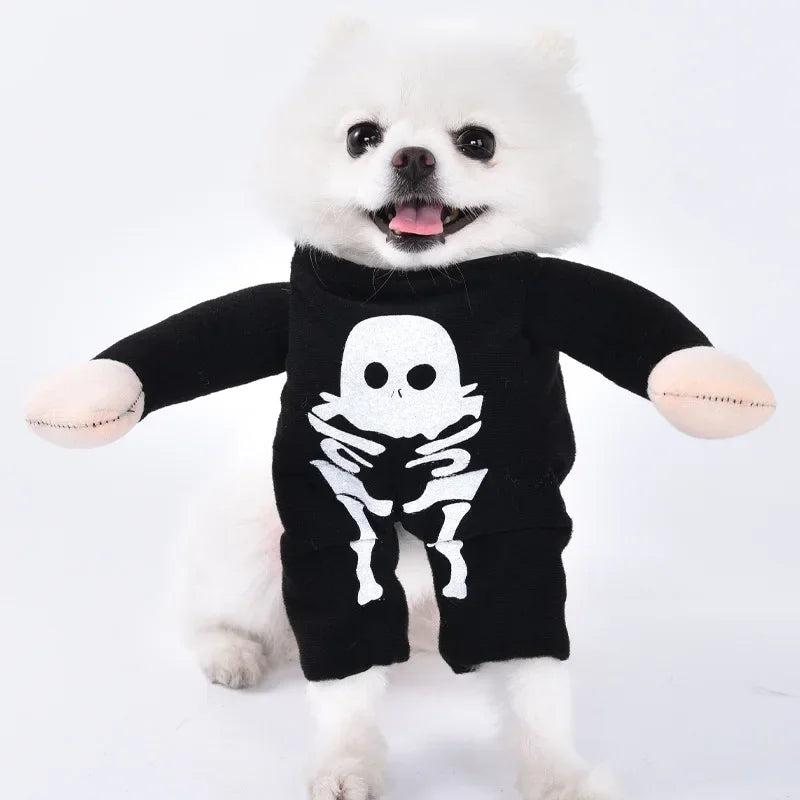 Halloween Funny Dog Clothes for Small Medium Dogs Cats Party Dressed Up Cosplay Costumes Bulldog French Chihuahua Pet Outfits - Curl and Collar