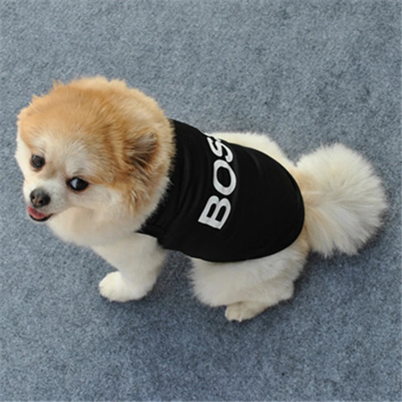 Security Clothing for Dogs Summer Pet Clothes Vest for Small Dogs Chihuahua Yorkshire Puppy Cats Low Price Pets T-shirt Costume - Curl and Collar