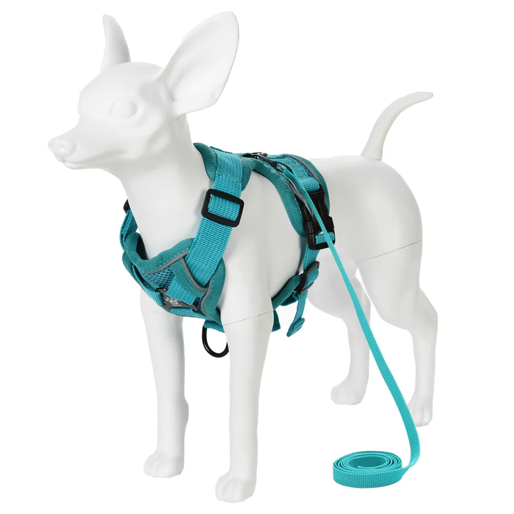 Adjustable Dog Harness Leash Set for Small Medium Dogs Cats Reflective Chest Strap Pets Harnesses Vest Outdoor Puppy Supplies - Curl and Collar