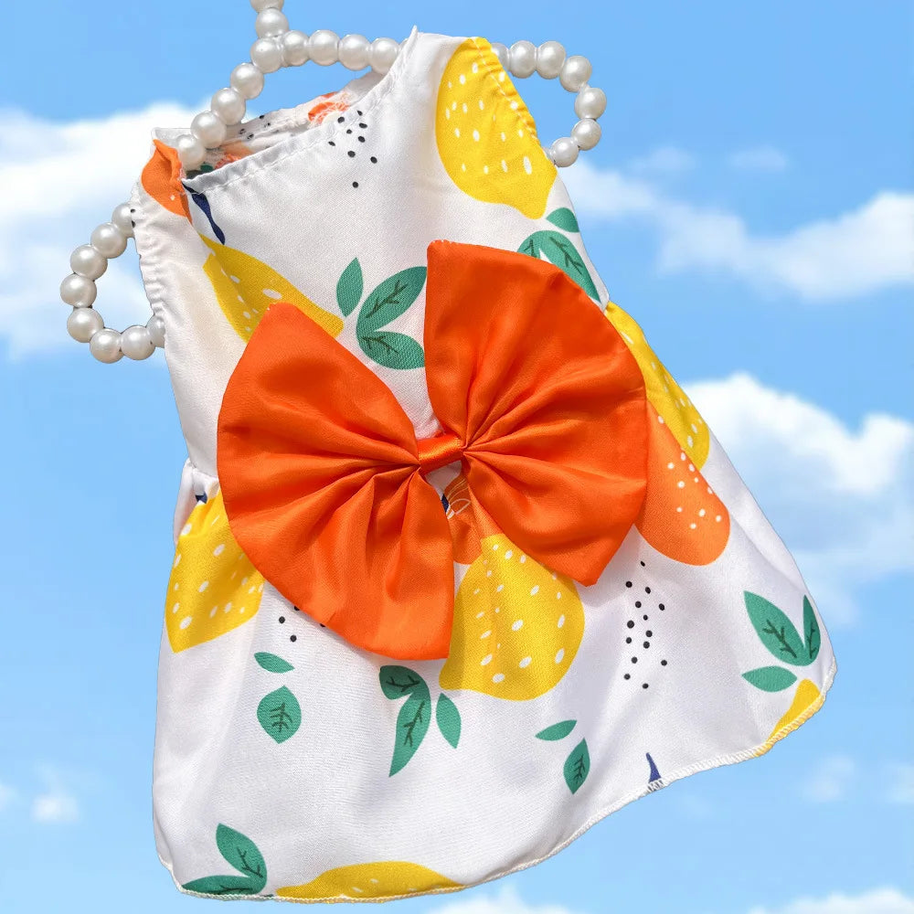 Puppy Summer Dress Dog Cat Princess Dress Pet Clothes for Small Medium Dogs Printed Bow Kitten Dog Skirt Yorkshire Teddy Apparel - Curl and Collar