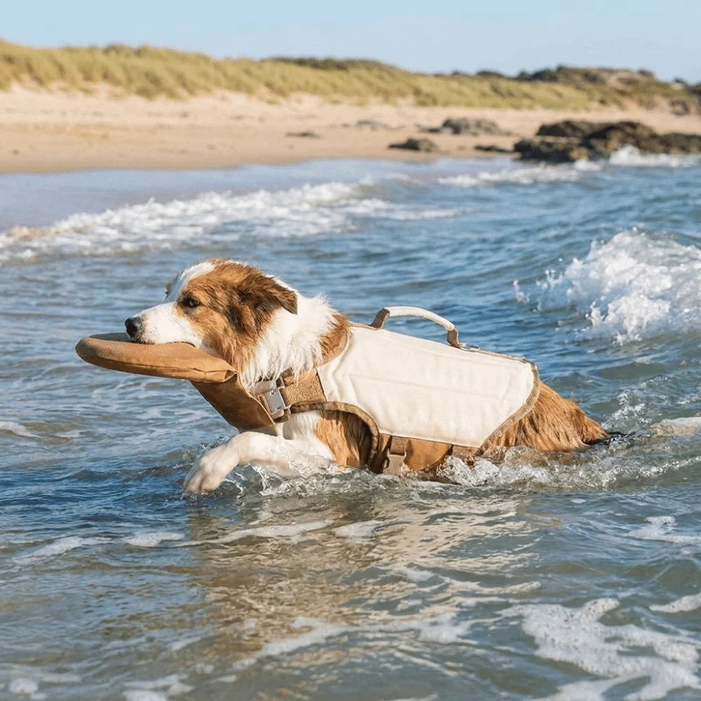 Adjustable Dog Life Jacket High Buoyancy Breathable Pet Swimming Suit Waterproof Safety Handle Dog Flotation Vest Swimming - Curl and Collar