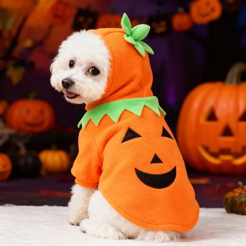 Hot Sale Halloween Pumpkin Pet Costume Autumn Winter Transformed Outfit Casual Daily Clothes For Dogs - Curl and Collar