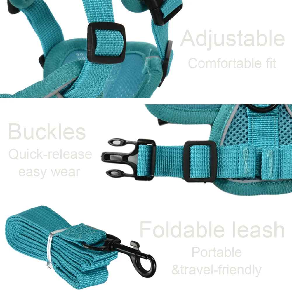 Adjustable Dog Harness Leash Set for Small Medium Dogs Cats Reflective Chest Strap Pets Harnesses Vest Outdoor Puppy Supplies - Curl and Collar