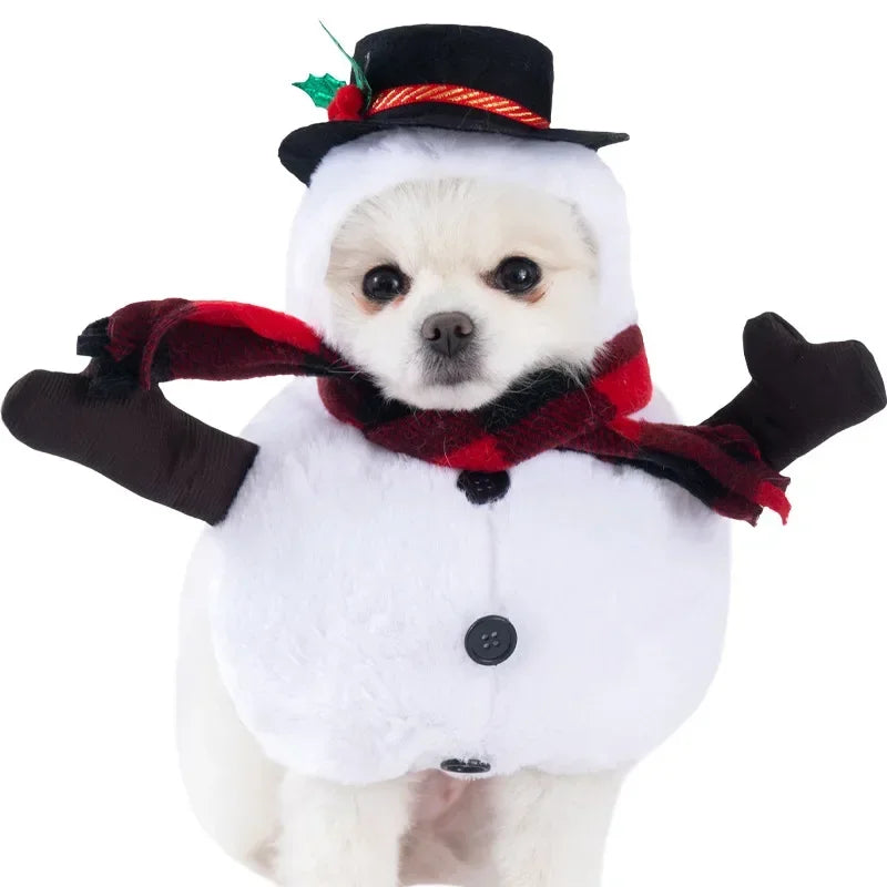 Halloween Funny Dog Clothes for Small Medium Dogs Cats Party Dressed Up Cosplay Costumes Bulldog French Chihuahua Pet Outfits - Curl and Collar