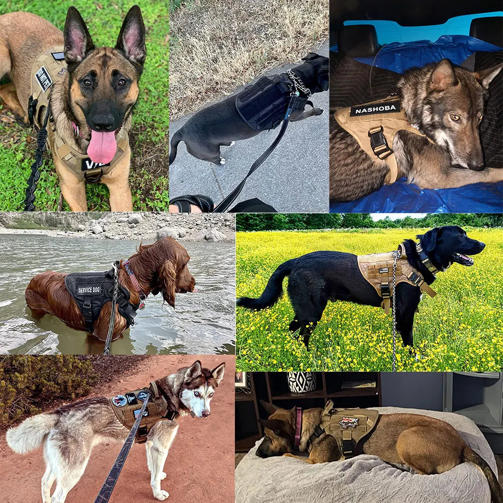 Large Dog Harness And Leash Set Pet German Shepherd Malinois Training Walking Vest Dog Harness And Collar For Medium Large Dogs - Curl and Collar