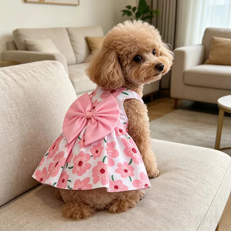 Puppy Summer Dress Dog Cat Princess Dress Pet Clothes for Small Medium Dogs Printed Bow Kitten Dog Skirt Yorkshire Teddy Apparel - Curl and Collar