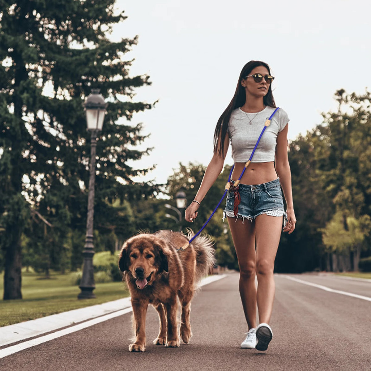 210cm Double Dog Leash – Adjustable Nylon Hands-Free Lead for Small & Medium Dogs - Curl and Collar