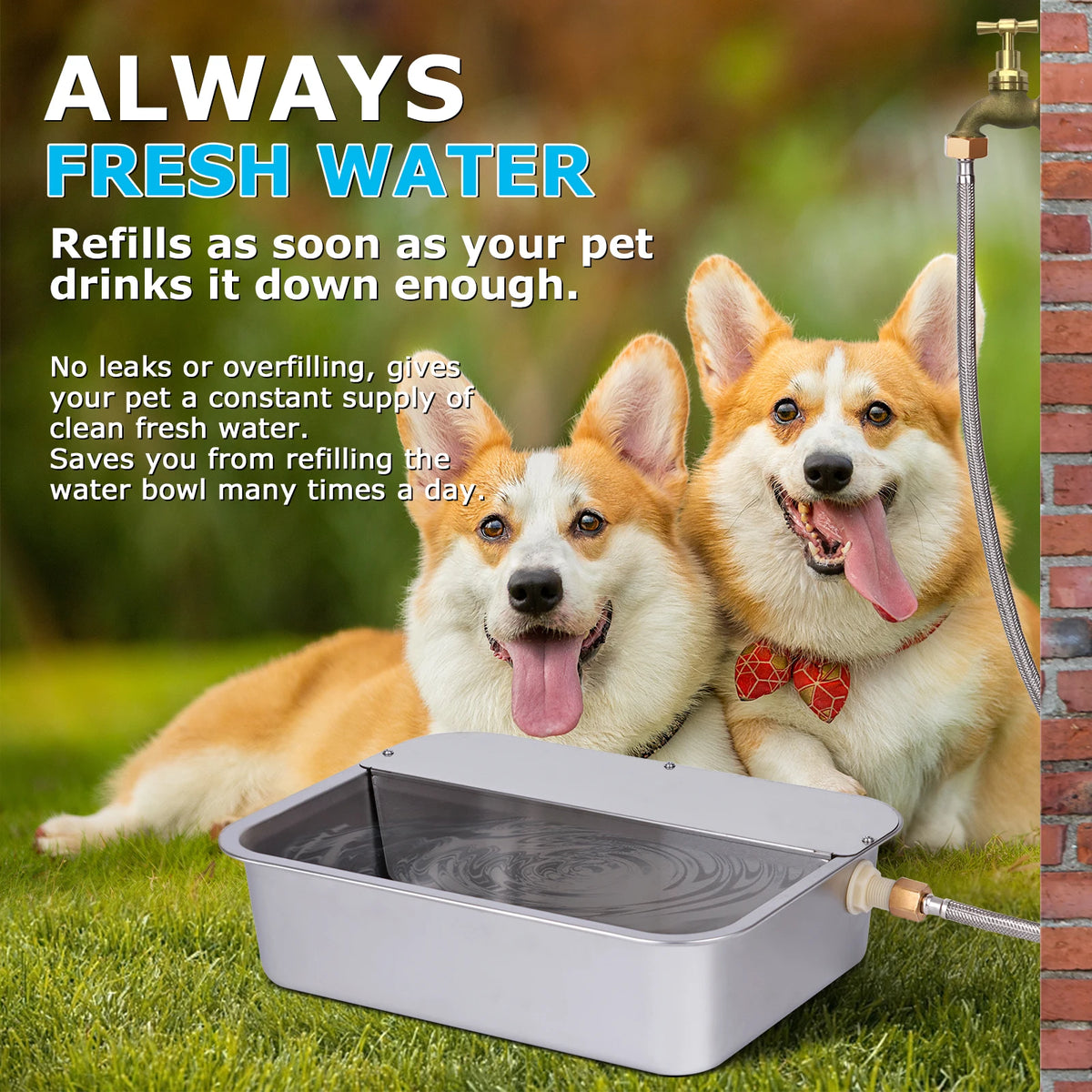 Automatic Outdoor Dog Water Dispenser for Cow Goat Dogs Self Filling Water Bowl Large Breed Auto Fill Dog Waterer Stainless Steel Pet Waterer for Big Cat Chicken Goat Sheep Livestock - Curl and Collar