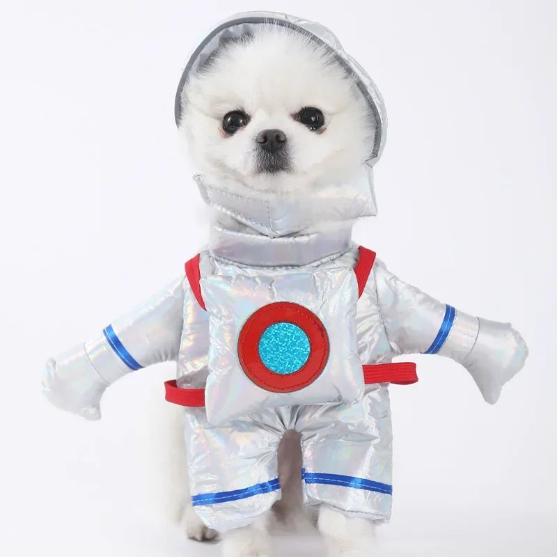 Halloween Funny Dog Clothes for Small Medium Dogs Cats Party Dressed Up Cosplay Costumes Bulldog French Chihuahua Pet Outfits - Curl and Collar