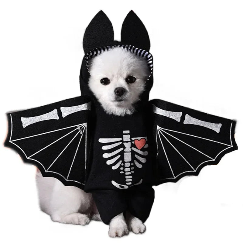 Halloween Funny Dog Clothes for Small Medium Dogs Cats Party Dressed Up Cosplay Costumes Bulldog French Chihuahua Pet Outfits - Curl and Collar