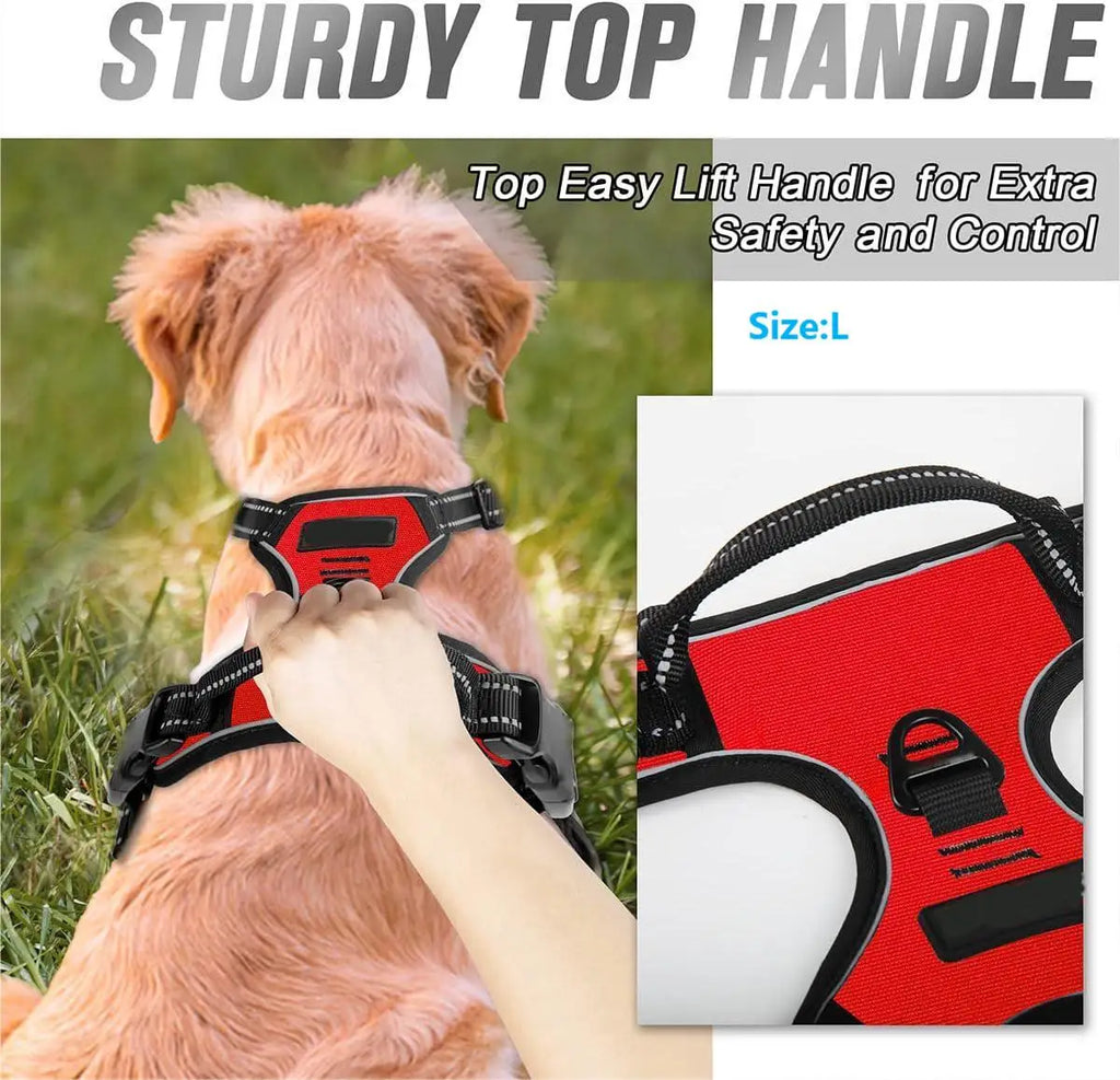 Adjustable No Pull Dog Harness Front Clip Reflective Comfortable Handle for Medium to Large Dogs Walking - Curl and Collar