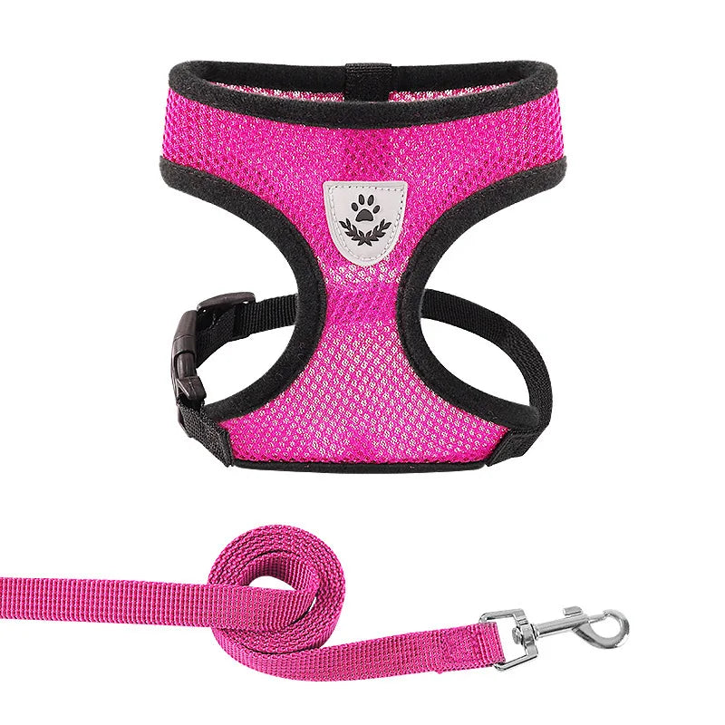 Summer Cat Dog Harness Lead Leash Adjustable Vest Polyester Mesh Breathable Harnesses Reflective for Small Dog Cat Lesah - Curl and Collar