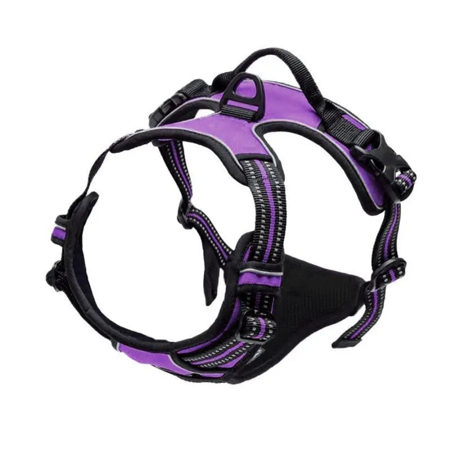 Adjustable No Pull Dog Harness Front Clip Reflective Comfortable Handle for Medium to Large Dogs Walking - Curl and Collar