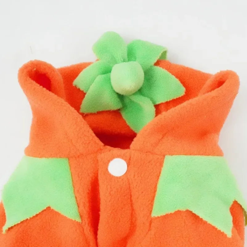 Hot Sale Halloween Pumpkin Pet Costume Autumn Winter Transformed Outfit Casual Daily Clothes For Dogs - Curl and Collar