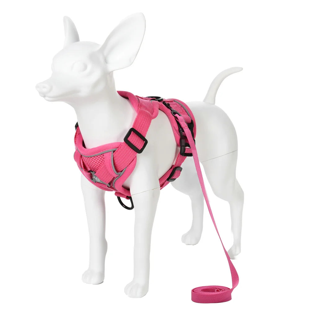Adjustable Dog Harness Leash Set for Small Medium Dogs Cats Reflective Chest Strap Pets Harnesses Vest Outdoor Puppy Supplies - Curl and Collar