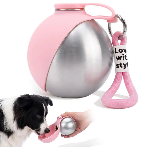 304 Stainless Steel Dog Water Bottle for Walking Pet Water Dispenser with Foldable Silicone Bowl Portable Dog Water Bottle Travel - Curl and Collar