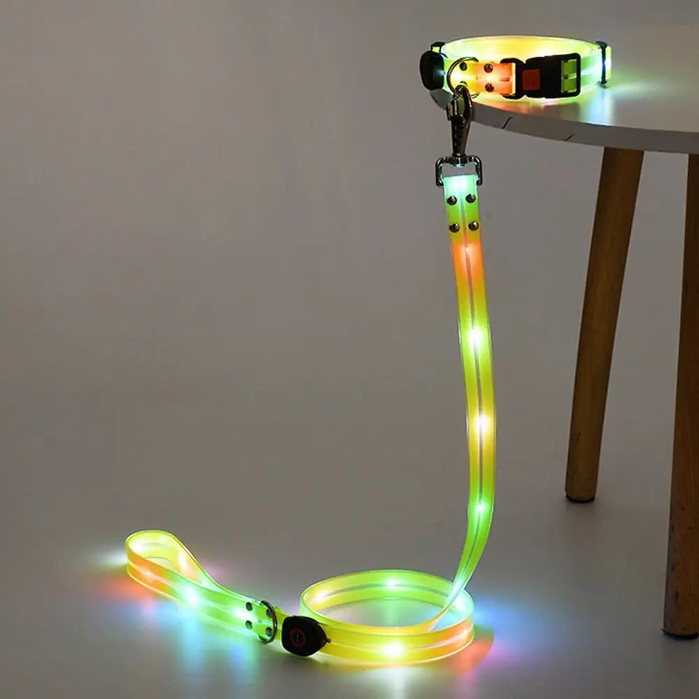 Glowing Dog Collar Leash Waterproof Adjustable Dog Neck Collar Rechargeable Weather Proof Dog Led Light Collar For Night Walking - Curl and Collar