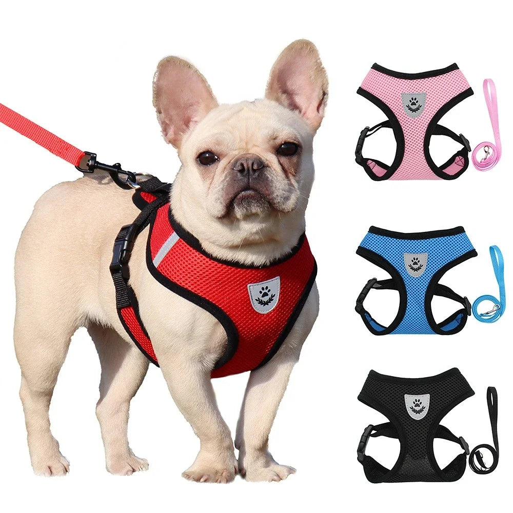 Summer Cat Dog Harness Lead Leash Adjustable Vest Polyester Mesh Breathable Harnesses Reflective for Small Dog Cat Lesah - Curl and Collar