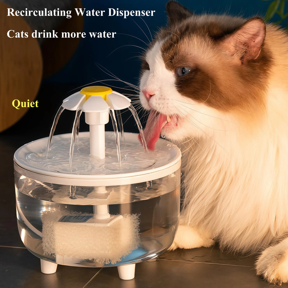 USB Electric Mute 1.2L Pet Water Fountain Automatic Cat Drink Bowl Filter Pet Drinking Dispenser Drinker For Cats Water Filter - Curl and Collar