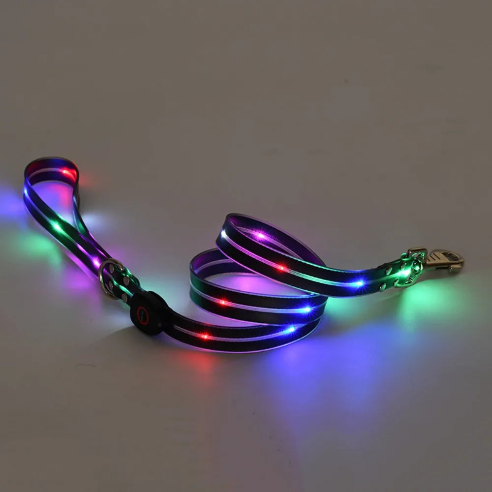 Glowing Dog Collar Leash Waterproof Adjustable Dog Neck Collar Rechargeable Weather Proof Dog Led Light Collar For Night Walking - Curl and Collar
