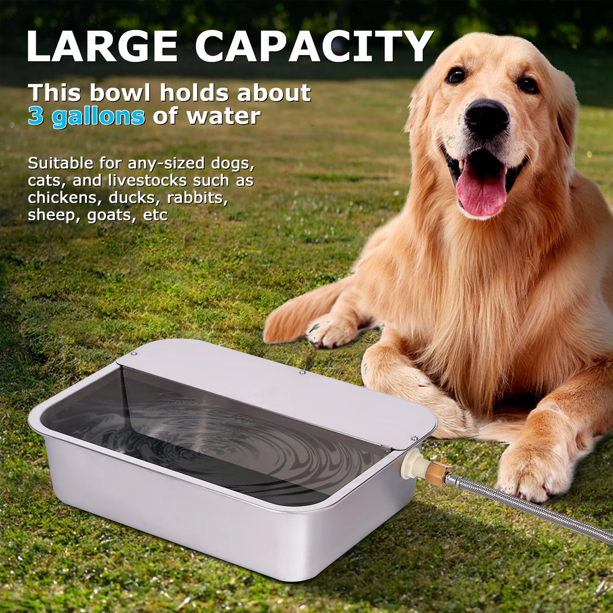 Automatic Outdoor Dog Water Dispenser for Cow Goat Dogs Self Filling Water Bowl Large Breed Auto Fill Dog Waterer Stainless Steel Pet Waterer for Big Cat Chicken Goat Sheep Livestock - Curl and Collar