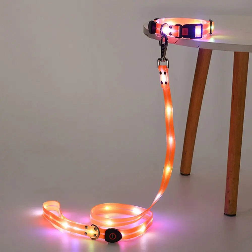 Glowing Dog Collar Leash Waterproof Adjustable Dog Neck Collar Rechargeable Weather Proof Dog Led Light Collar For Night Walking - Curl and Collar
