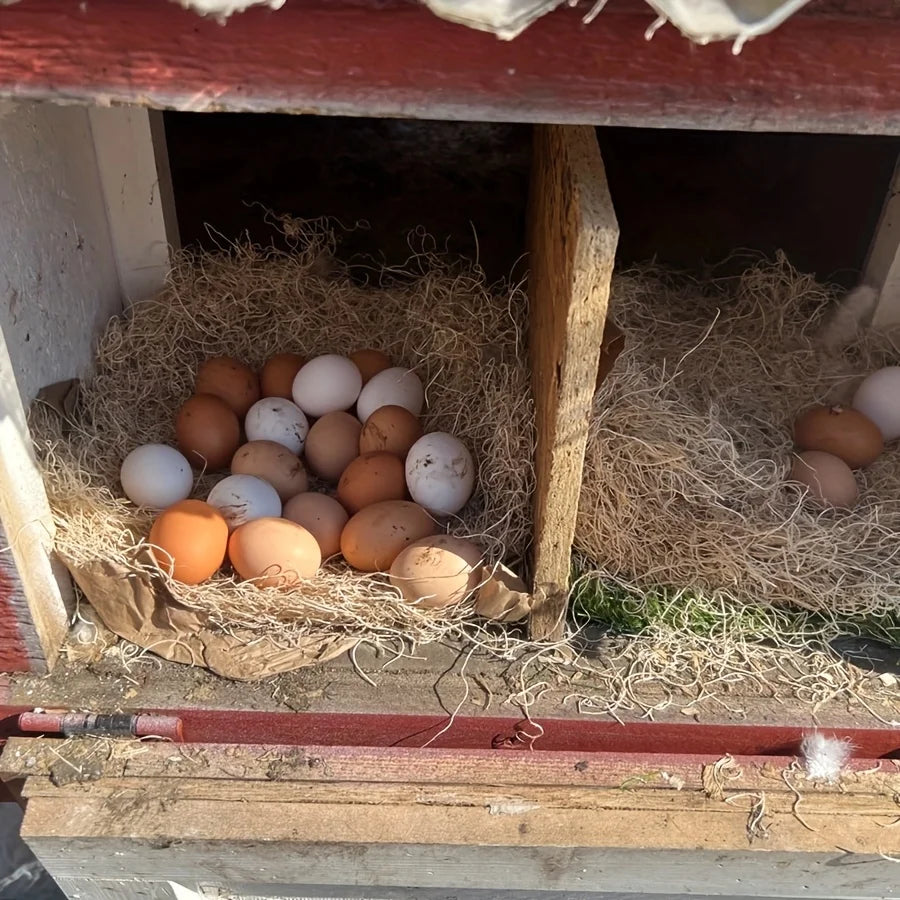 10Pcs/1Pc Nesting Liner Nest Box Chicken Mat, Nest Mat Box Liner, Chicken Coop Chicken Mat, Chick Mat Bird Nest Mat Rabbit Mat - Curl and Collar