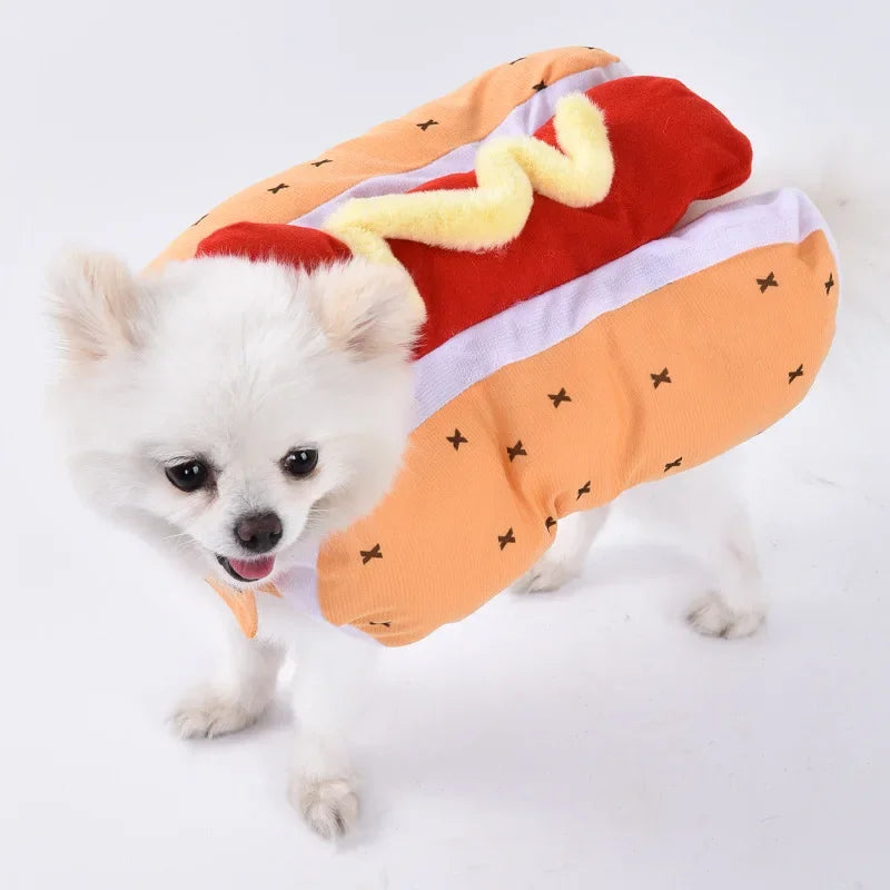 Halloween Funny Dog Clothes for Small Medium Dogs Cats Party Dressed Up Cosplay Costumes Bulldog French Chihuahua Pet Outfits - Curl and Collar
