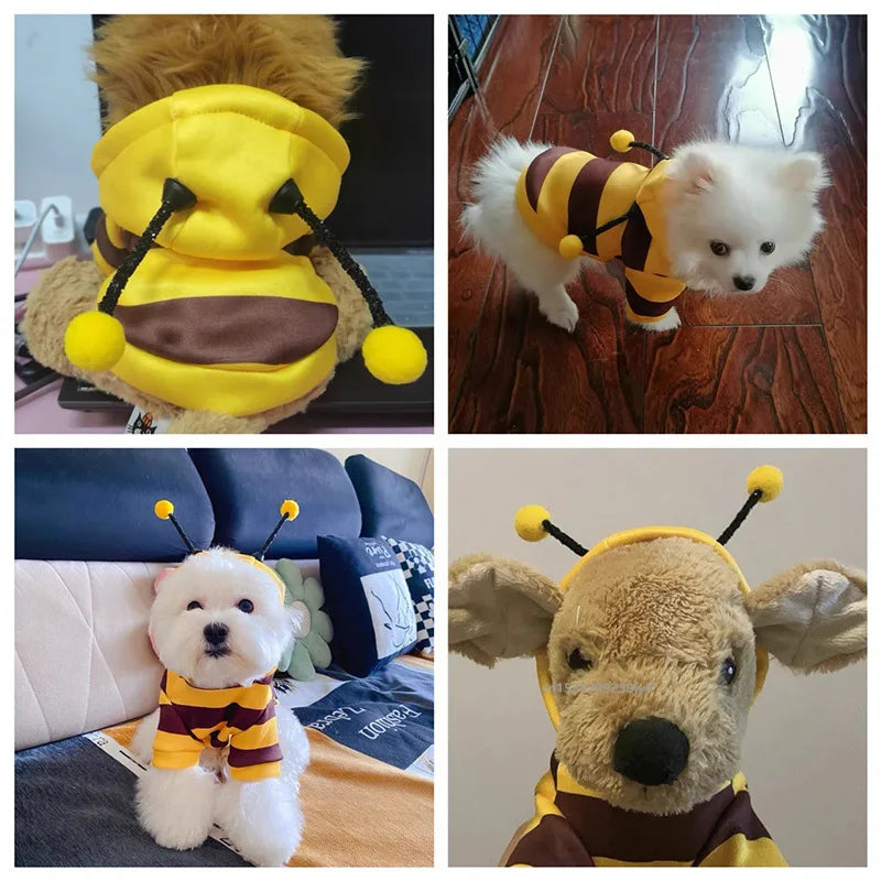 Dogs & Cats Bee Pet Puppy Coat Apparel Outfit Dog Hoodies Winter Warm Cat Cosplay Costume Holiday Outfit for Small Medium - Curl and Collar