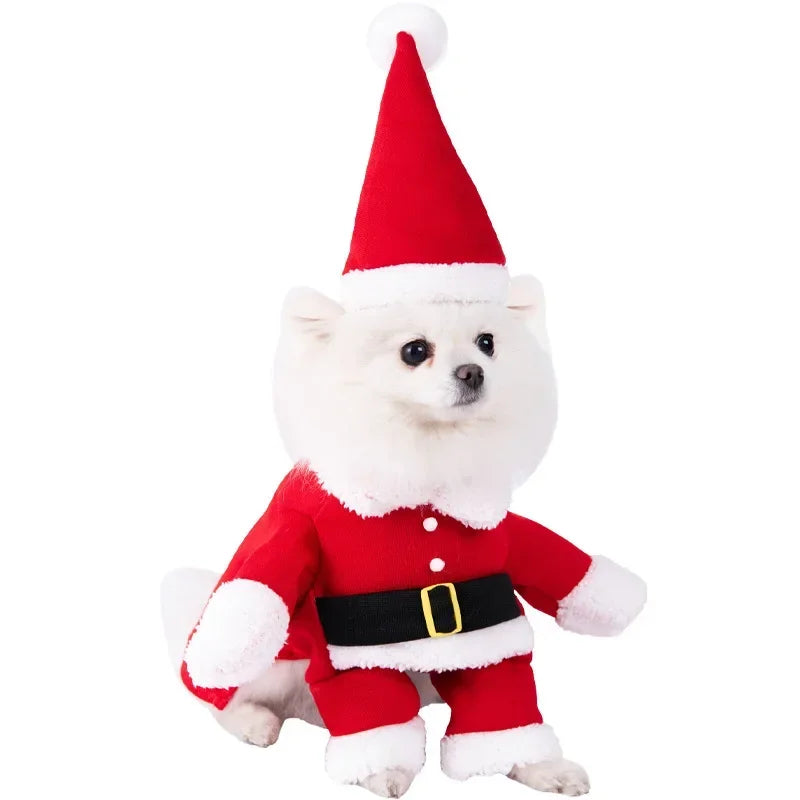 Halloween Funny Dog Clothes for Small Medium Dogs Cats Party Dressed Up Cosplay Costumes Bulldog French Chihuahua Pet Outfits - Curl and Collar