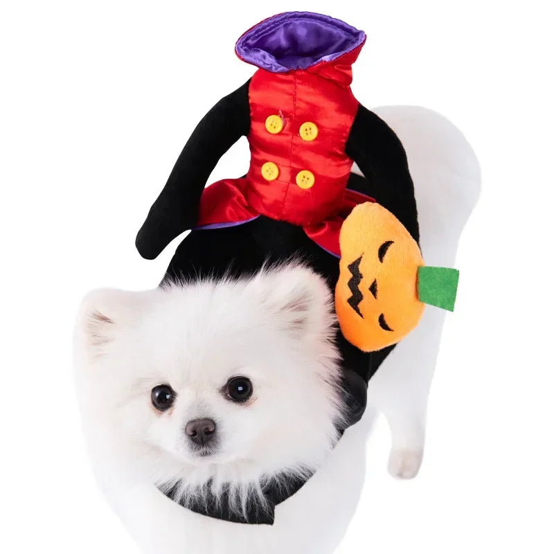 Halloween Funny Dog Clothes for Small Medium Dogs Cats Party Dressed Up Cosplay Costumes Bulldog French Chihuahua Pet Outfits - Curl and Collar