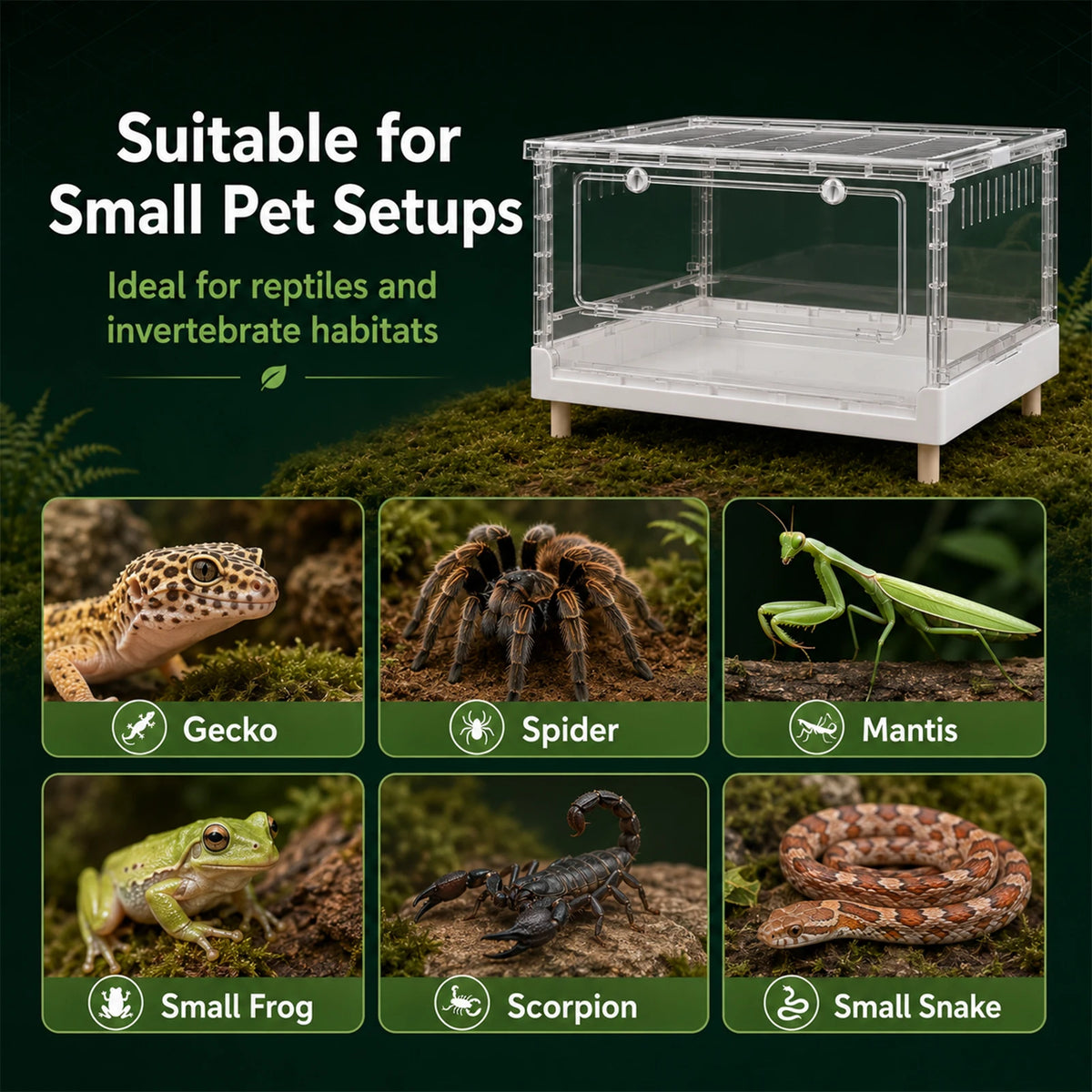Foldable Acrylic Reptile Terrarium, Clear Ventilation Habitat Cage with Front Opening Door, Portable Collapsible Terrarium Box for Pets, Suitable for Frogs, Amphibians, Reptilians, Arachnids, Tortoises, Hamsters and Small Ani - Curl and Collar